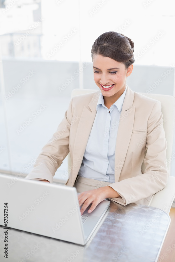 Smiling smart brown haired businesswoman using a laptop Smiling smart brown haired businesswoman using a laptop
