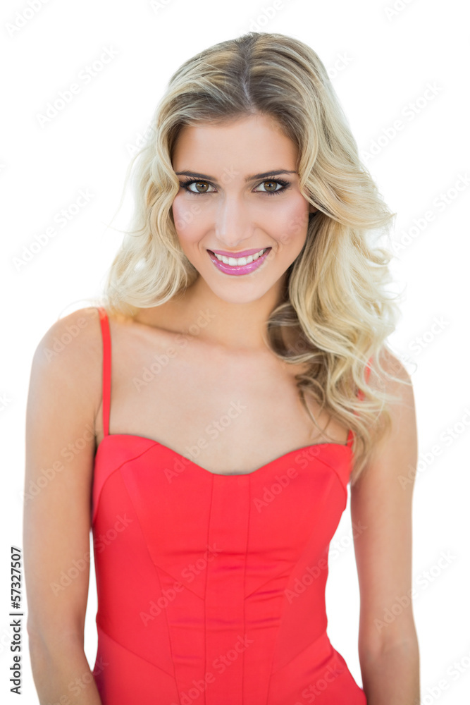 Gorgeous smiling blonde model looking at camera Gorgeous smiling blonde model looking at camera