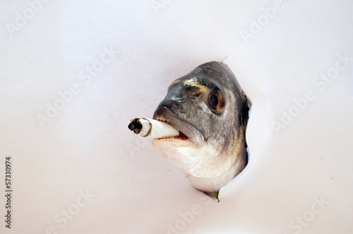 Fototapeta Naklejka Na Ścianę i Meble -  Il pesce fumatore