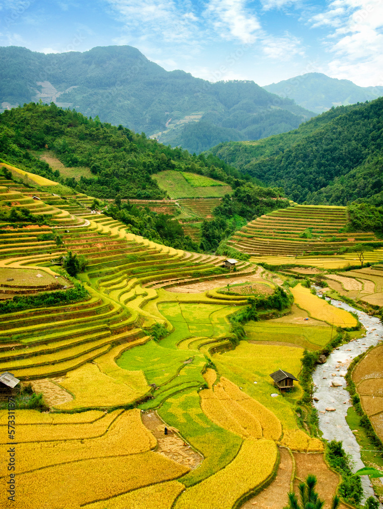 Fototapeta premium Rice fields on terraced of Mu Cang Chai, YenBai, Vietnam.