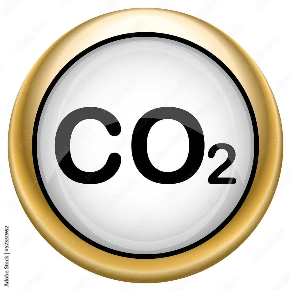 CO2 icon