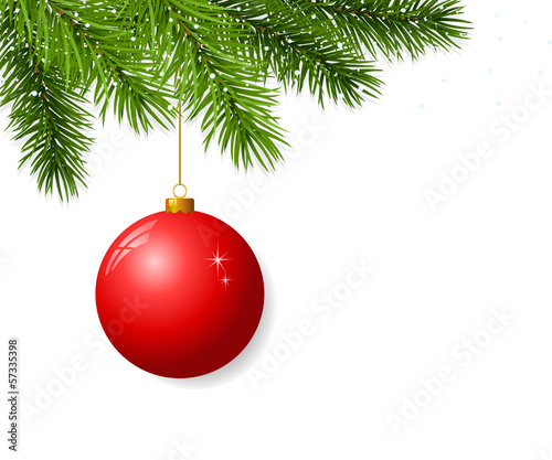 Branch with hanging christmas ball