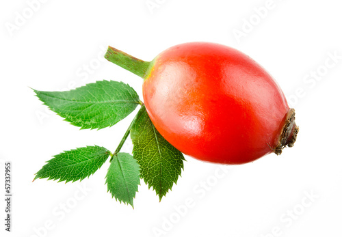 Rose hip. One berry isolated on a white background.