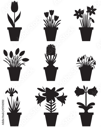 Fototapeta Naklejka Na Ścianę i Meble -  Set of flowers in pots