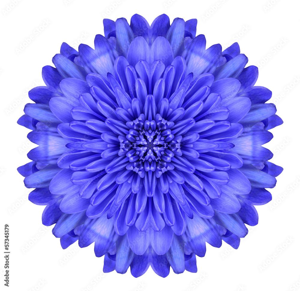 Blue Chrysanthemum Flower Kaleidoscope Isolated on White