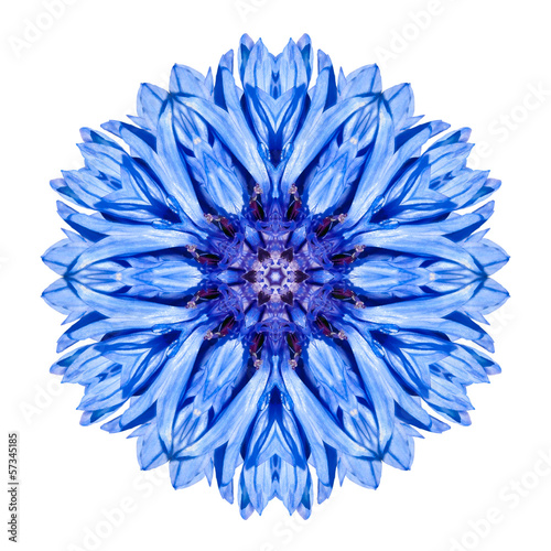 Blue Cornflower Mandala Flower Kaleidoscope Isolated on White