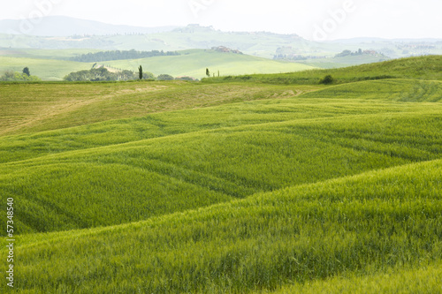 Tuscany - green typical landscape in spring time © Mira Drozdowski