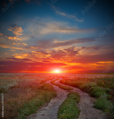 road in steppe on sunset time