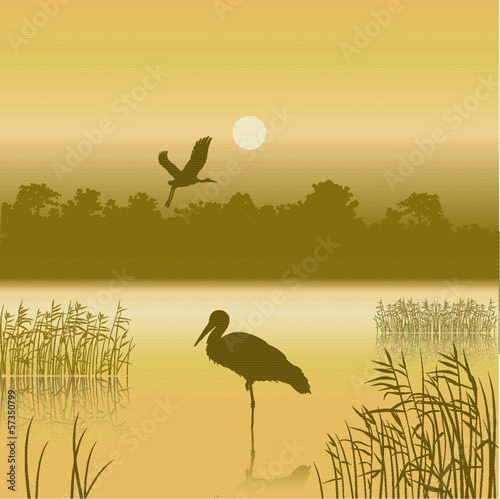 Vector landscape with two birds and reflexion in water