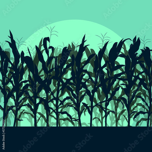 Print op canvas Corn field detailed countryside landscape illustration backgroun