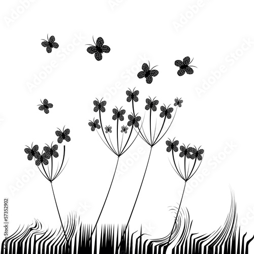 butterflies
