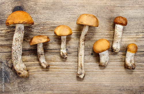 Mushrooms on wooden background