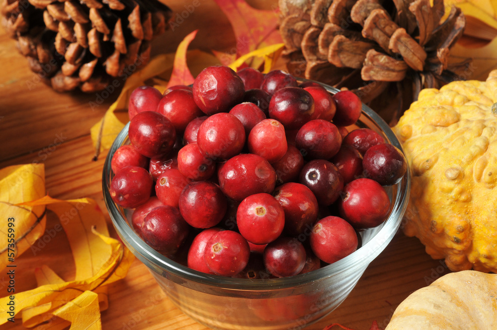 Fresh organic cranberries