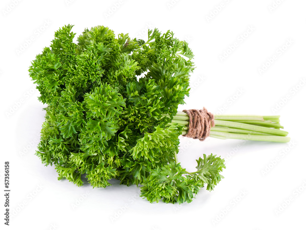Fresh parsley isolated on white background Fresh parsley isolated on white background