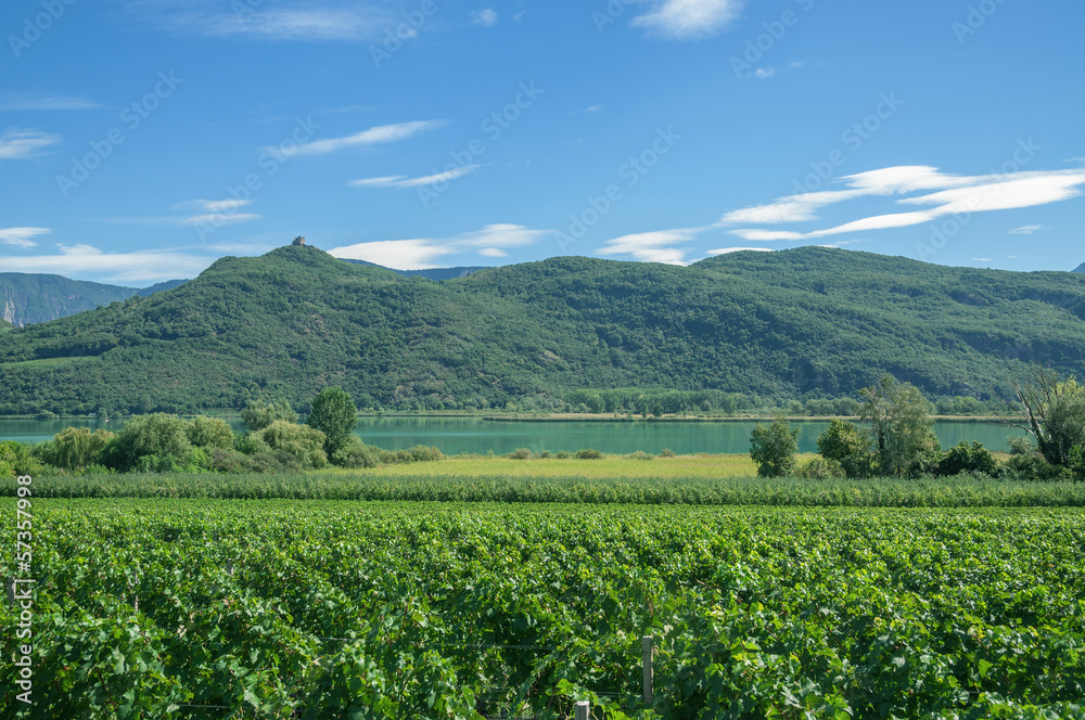 der bekannte Kalterer See an der Südtiroler Weinstrasse