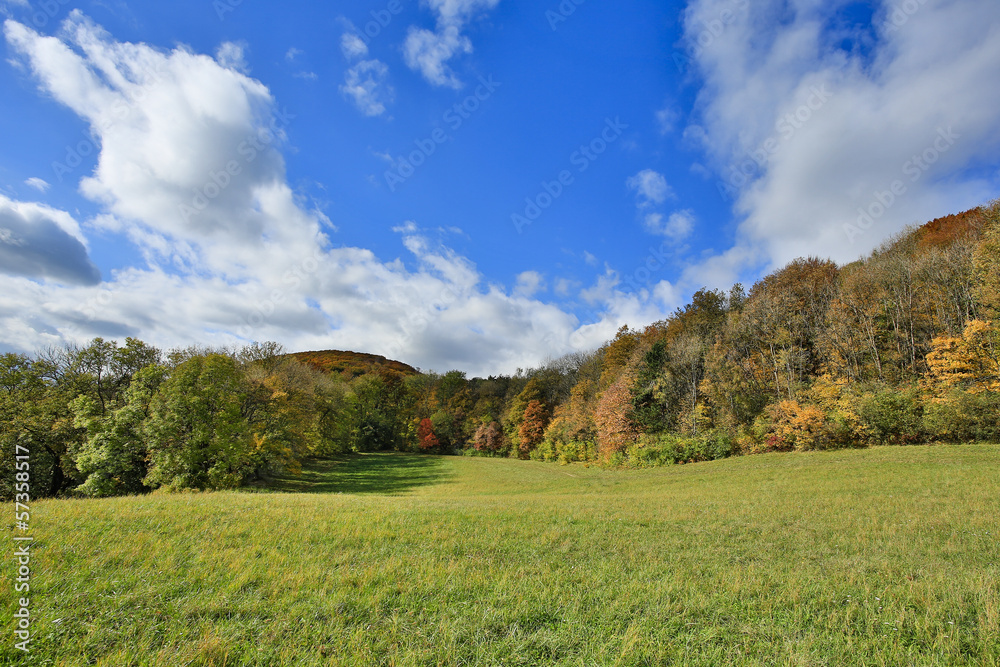 Wienerwald im Herbst