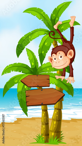 A playful monkey at the beach with an arrowboard