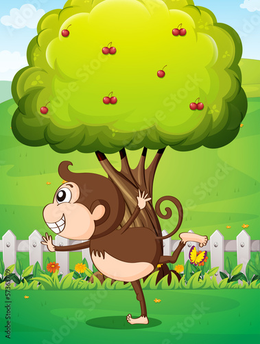 A monkey in front of the tree in the yard