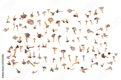 Fototapeta Naklejka Na Ścianę i Meble -  Mushroom Pattern