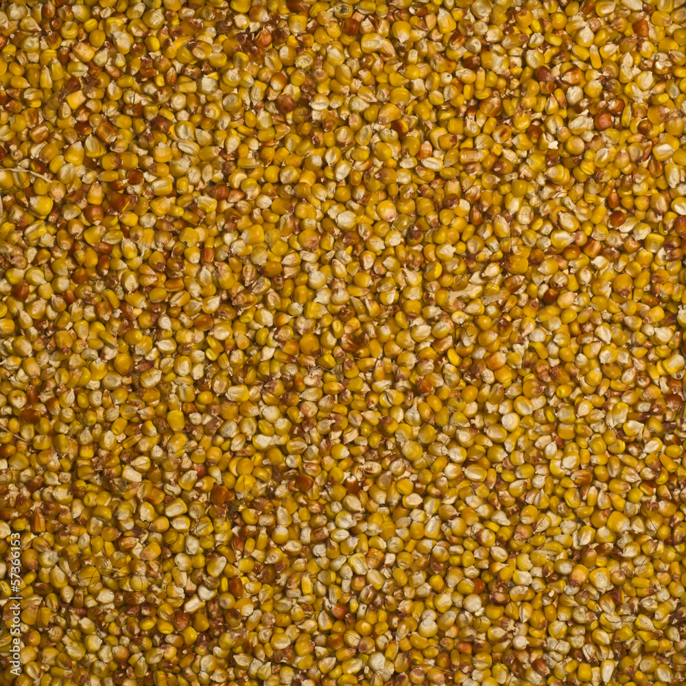 grain grain