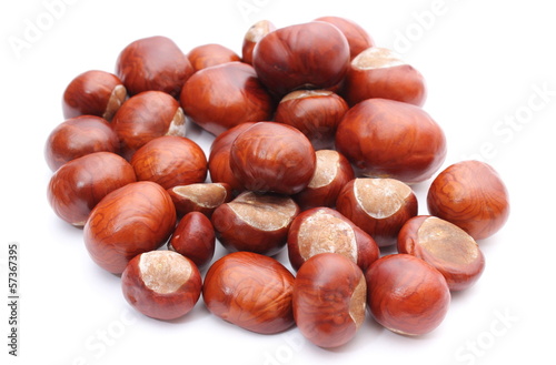 Closeup of chestnut on white background