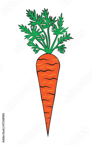 Carrot