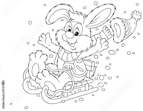 Rabbit sledding