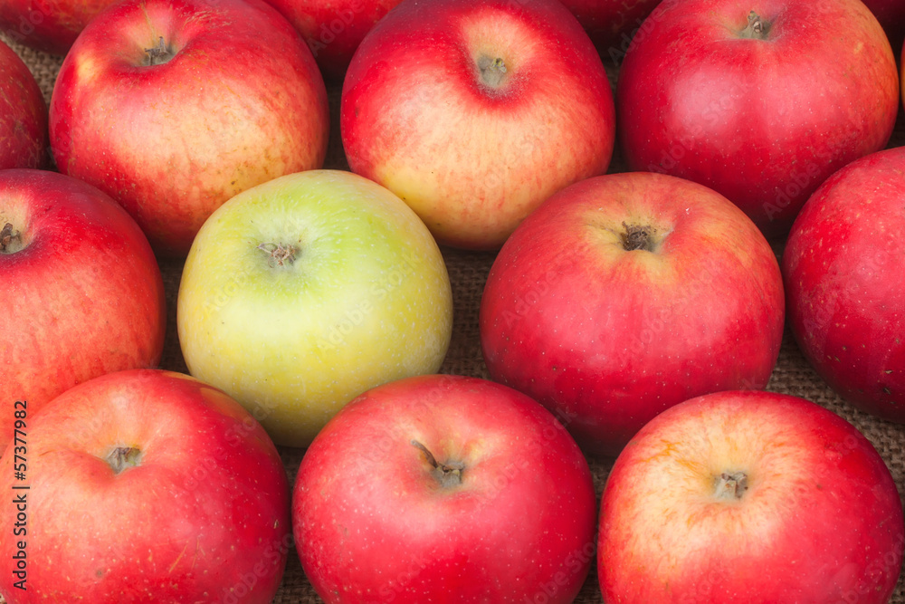 green apple among red apples lying on sackcloth green apple among red apples lying on sackcloth