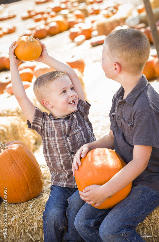 Fototapeta premium Two Brothers at a Pumpkin Patch Talking and Having Fun.