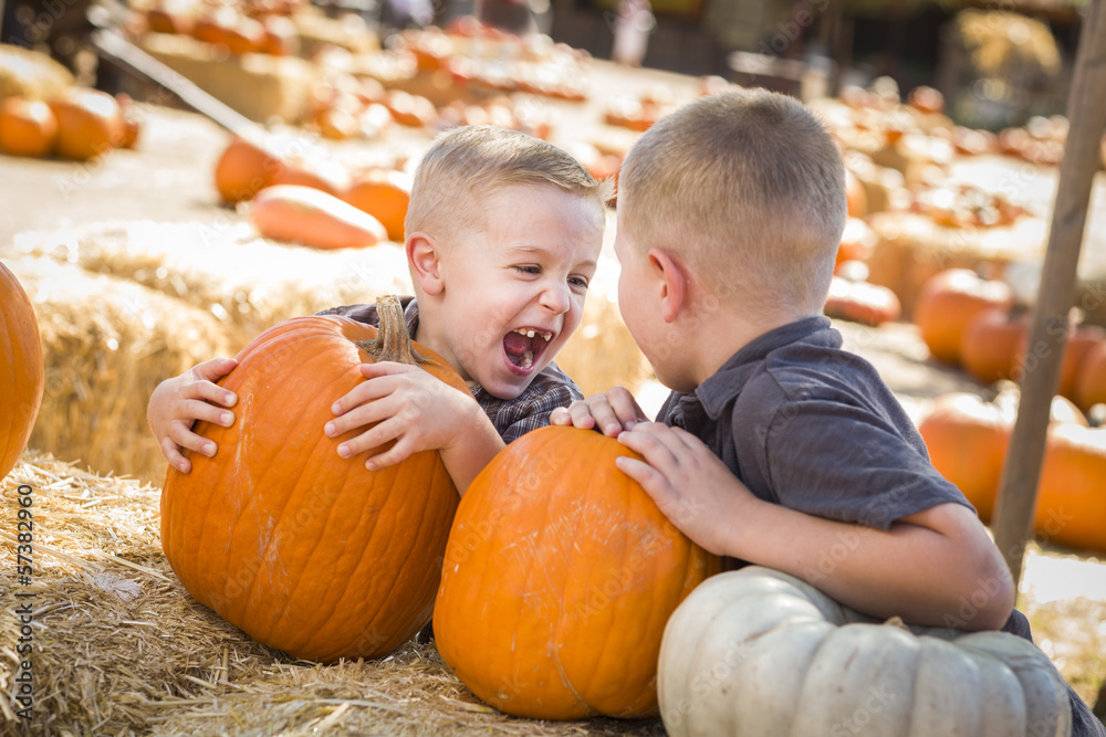 Fototapeta premium Laughing Boys at a Pumpkin Patch Talking and Having Fun.