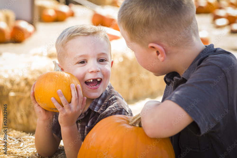 Fototapeta premium Young Boys at the Pumpkin Patch Talking and Having Fun.