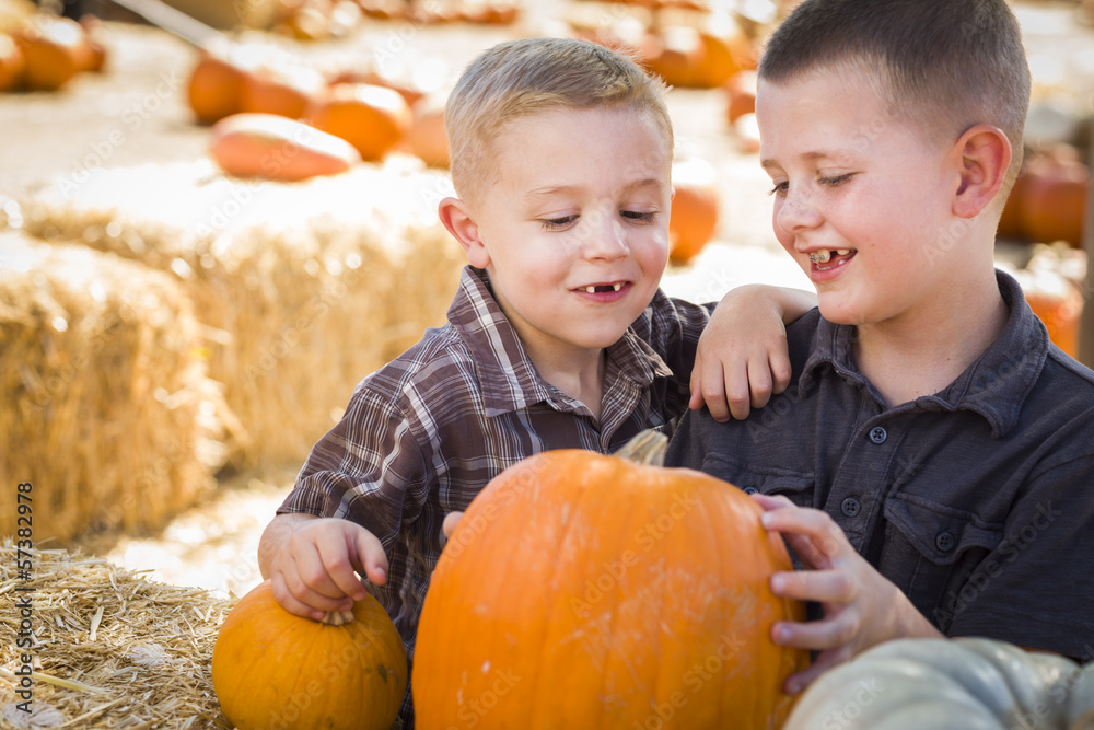 Fototapeta premium Little Boys at a Pumpkin Patch Talking and Having Fun.