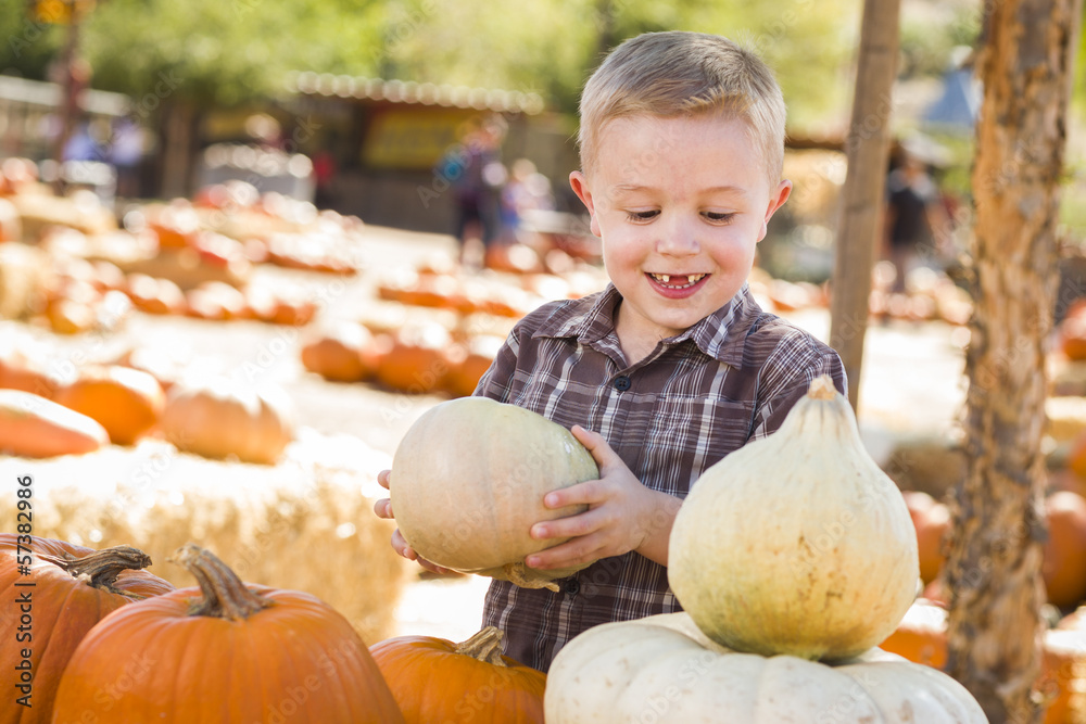 Fototapeta premium Little Boy Gathering His Pumpkins at a Pumpkin Patch.