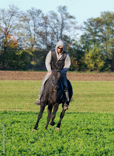 Man riding black horce on field © Budimir Jevtic