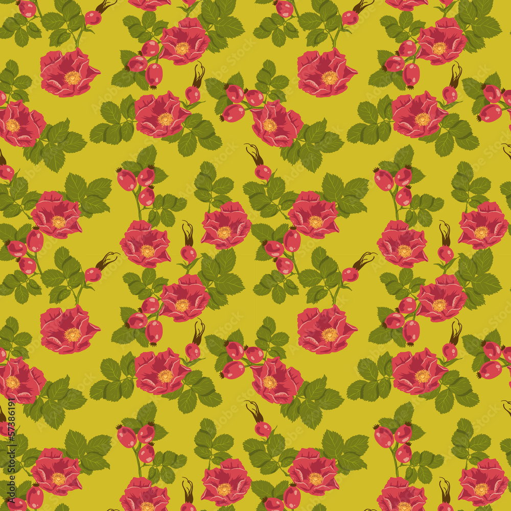 Seamless floral background with wild rose Seamless floral background with wild rose