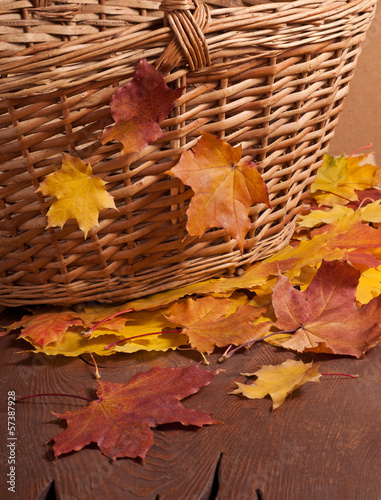 Autumn leaves and basket