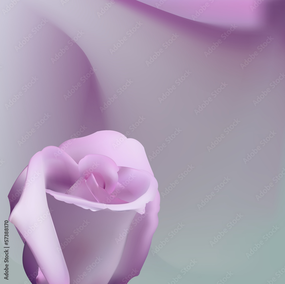 Delicate romantic background with pink rose