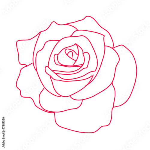 рисунок красная роза на белом фоне Stock Vector | Adobe Stock
