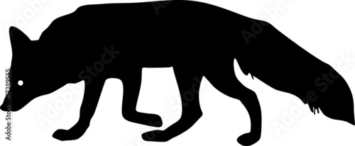Silhouette of fox
