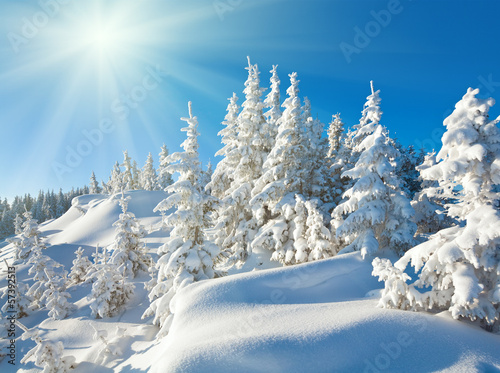 Sunshine under the winter mountain landscape © wildman