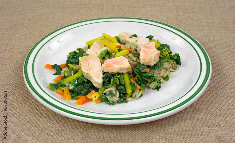 Salmon with vegetables TV dinner on a dish Salmon with vegetables TV dinner on a dish