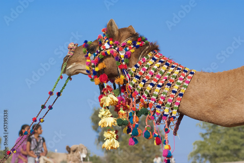 Decoration of camel