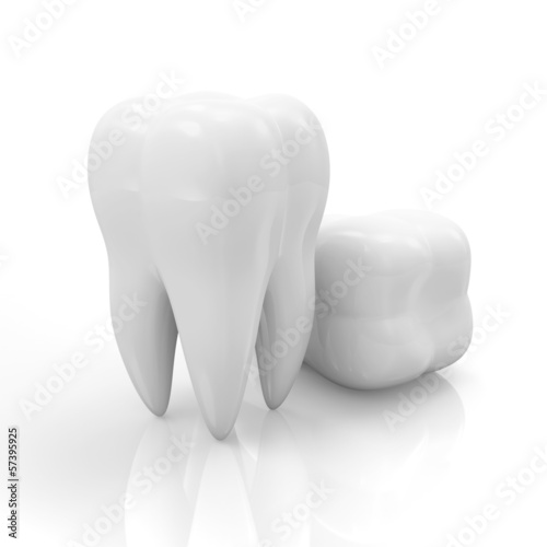 Fototapeta Naklejka Na Ścianę i Meble -  Tooth isolated on white reflective background