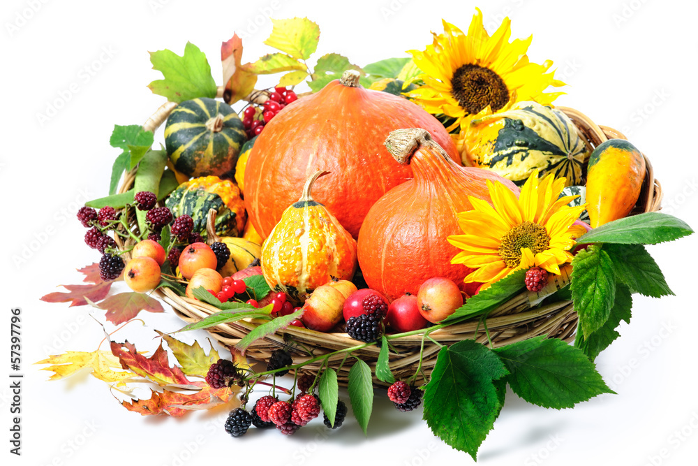 Naklejka premium Harvesting arrangement of pumpkins