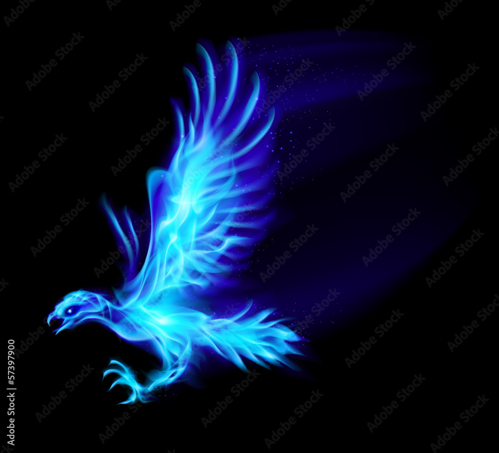 Obraz premium Fire hawk.