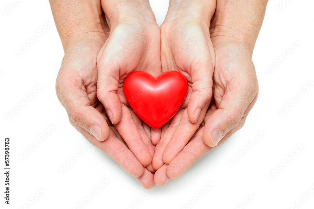 Fototapeta premium Heart at the human hands