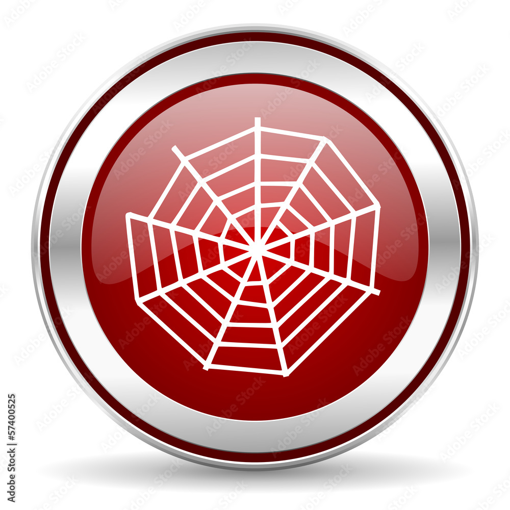 spider web spider web