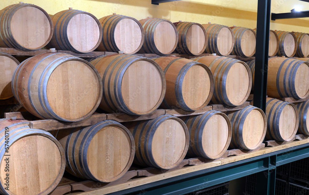 Casks in wine cellar