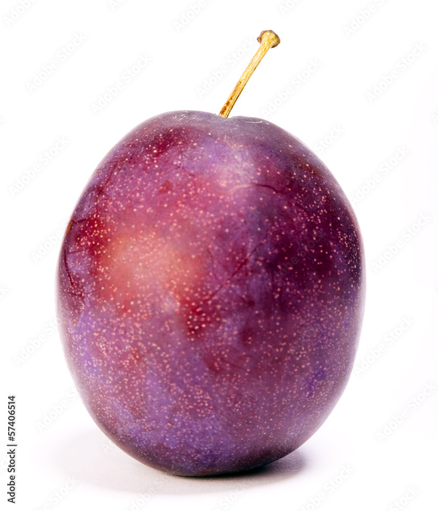 Obraz premium Ripe plum