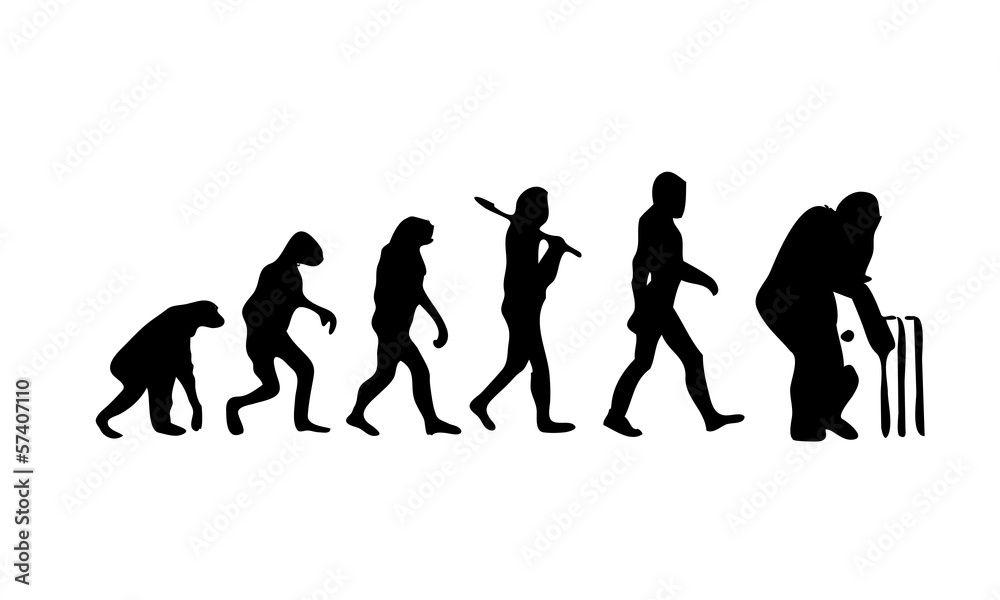 Evolution Cricket
